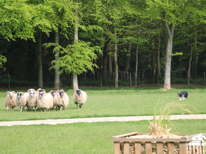Le Domaine de Pleugueneuc Pleugueneuc