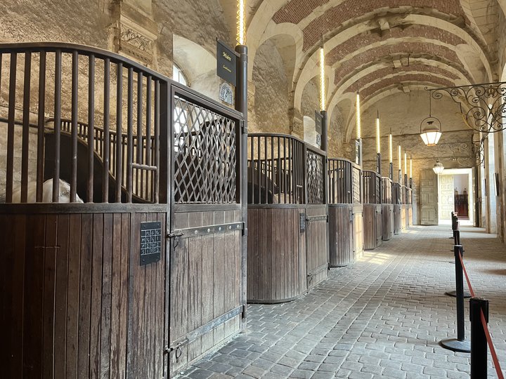 L'Académie équestre  Versailles