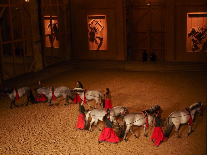 Grandes Ecuries de Versailles Versailles
