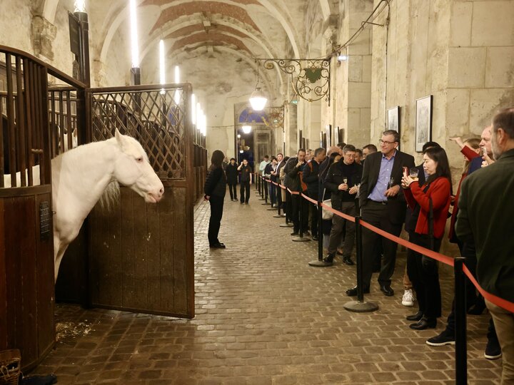 Grandes Ecuries de Versailles Versailles