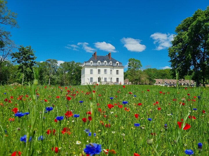 Domaine de Bourgogne  CHASSY