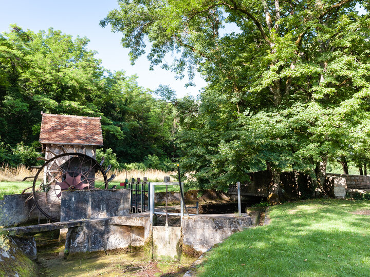 Le Domaine des Vignes  NUITS SAINT GEORGES