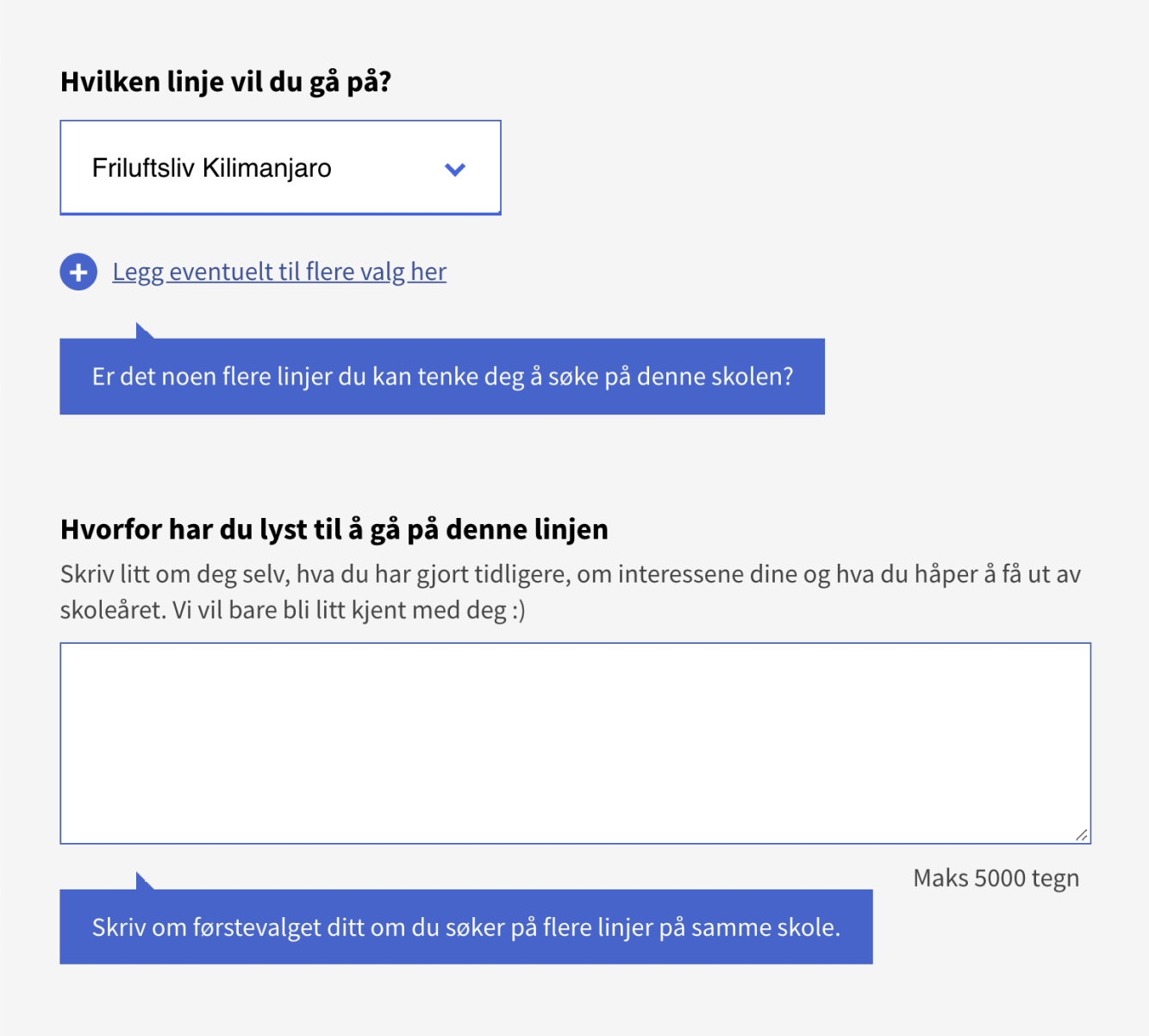 Skjermdump av nettsiden viser et enklere skjema med bedre hjelpetekster.