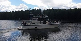 Retki Kallioniemeen ja Astuvansalmen kalliomaalauksille