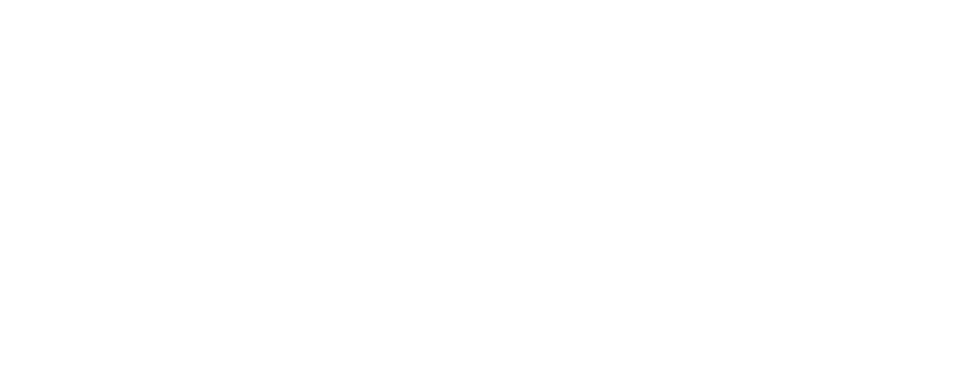 allbirds