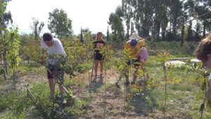 Adra-GA_REstate Liberi-compagnon 2