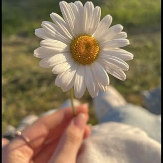 Reem Mohamed - ريم محمد