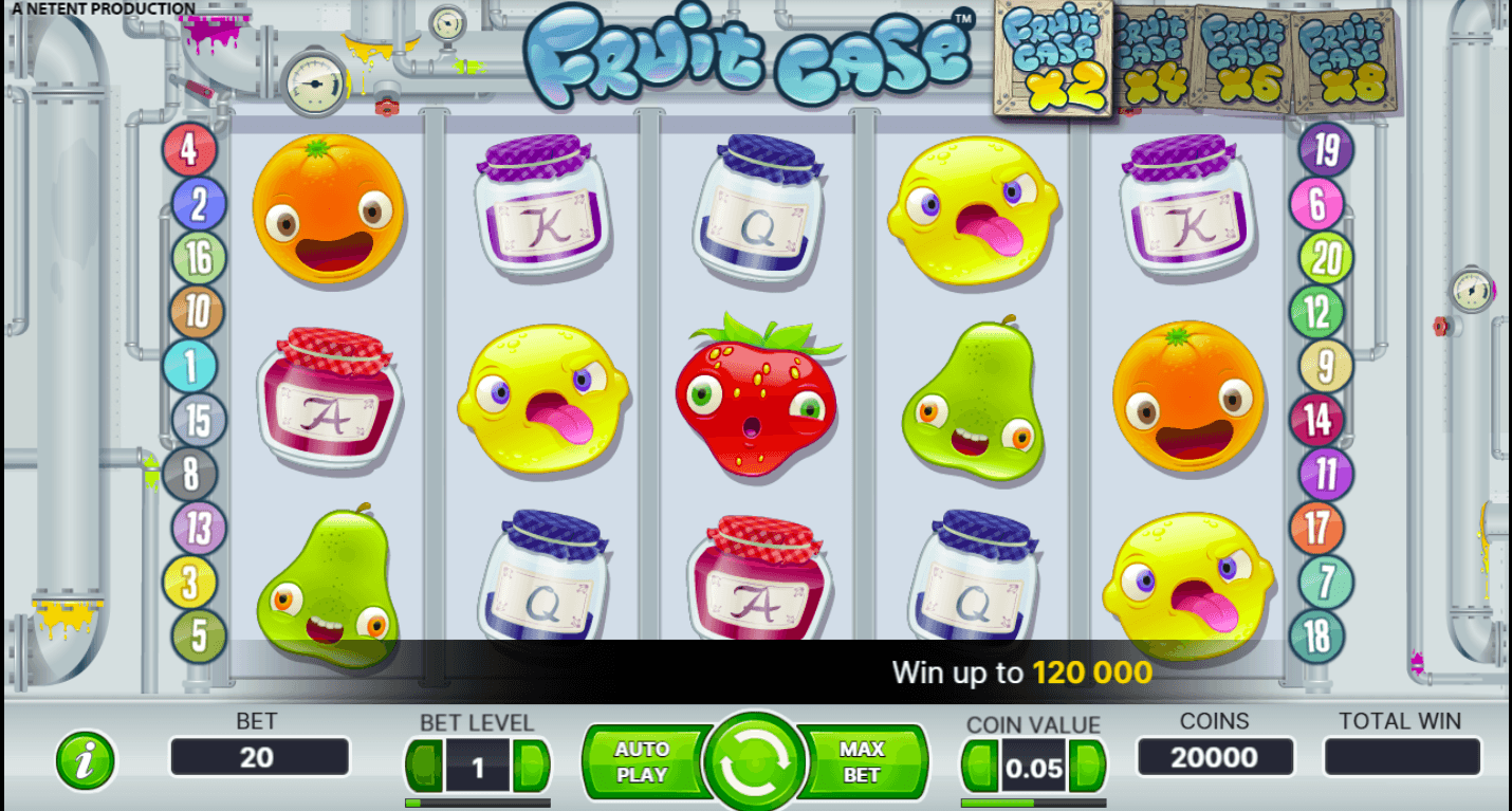 Fruit Case Fruit Case