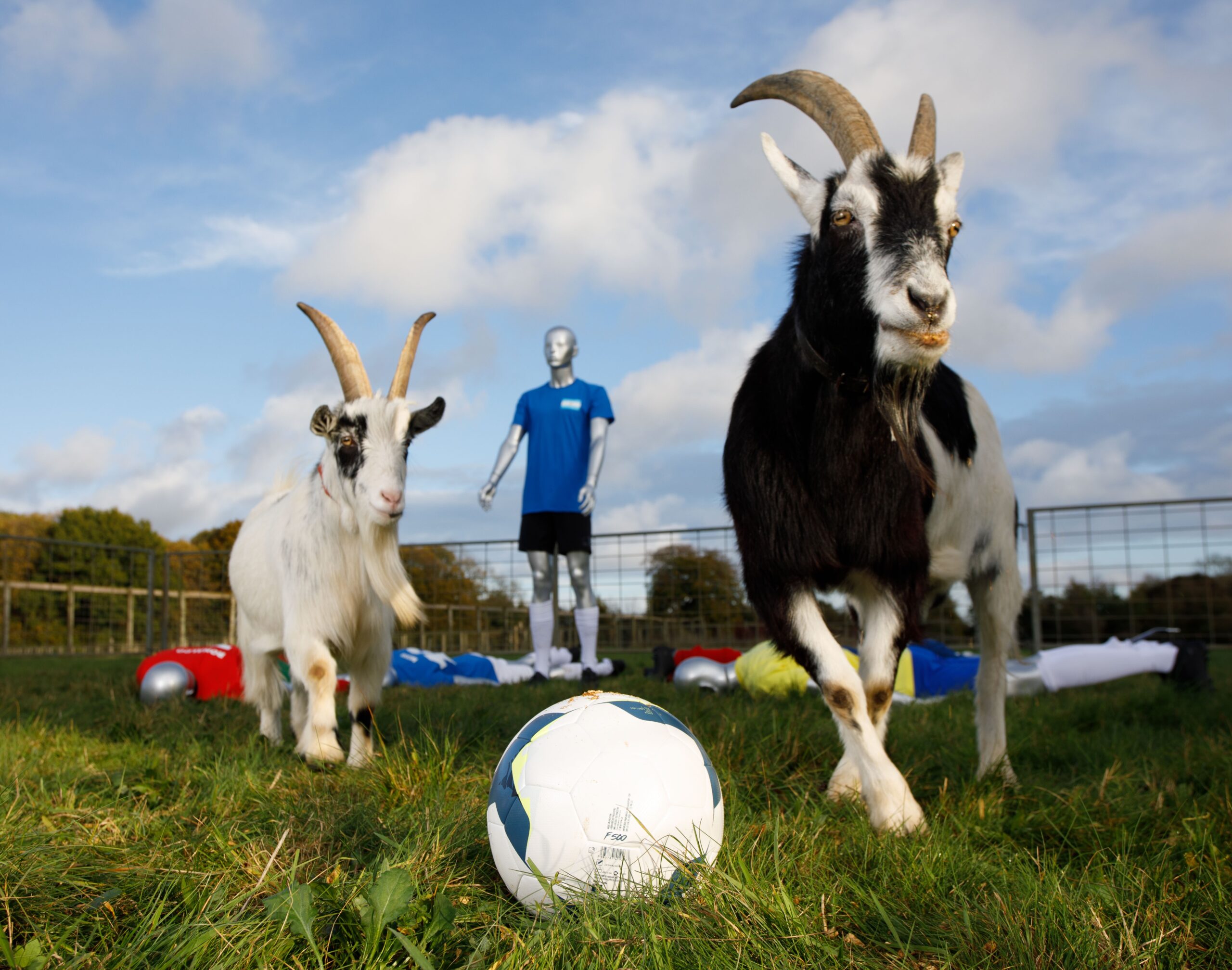 GOATS CHEWS THE G.O.A.T - ON IN LONDON