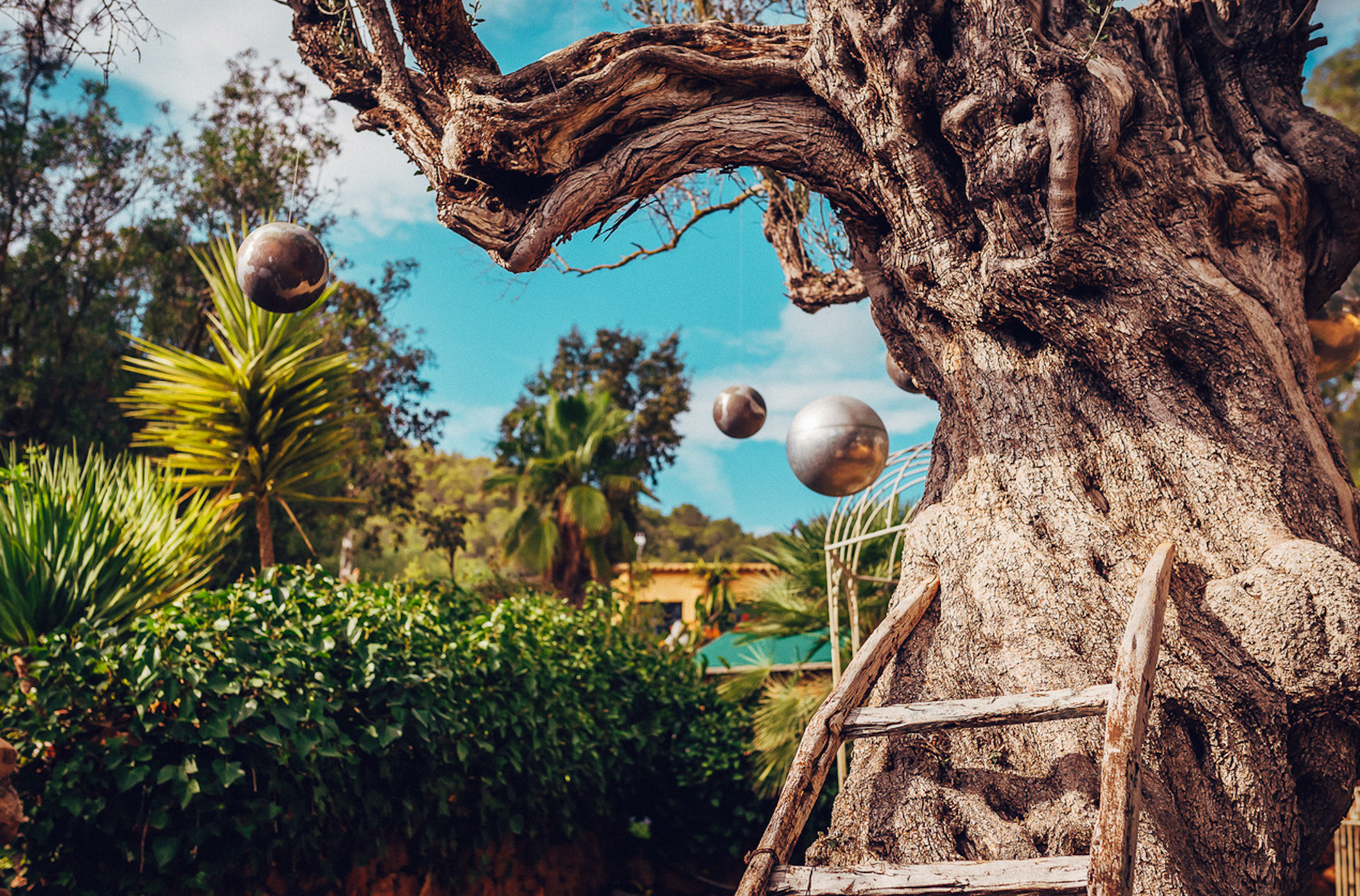 Pikes, Bar Menu Review ON IN LONDON