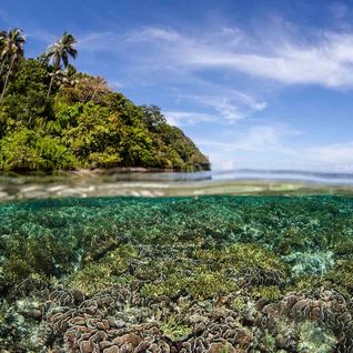 Raja Ampat underwater
