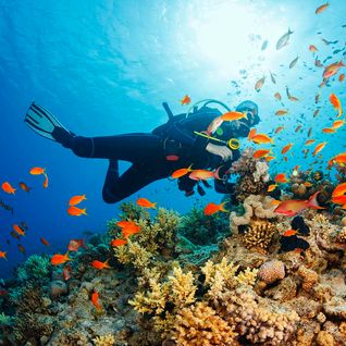 Philippines diver