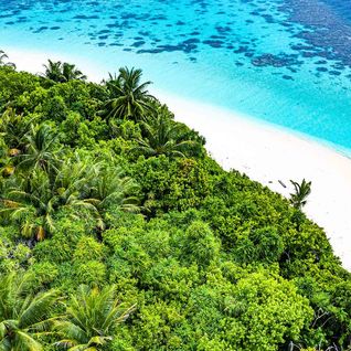 maldives beach sea aerial