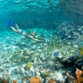 Snorkelling in Belize