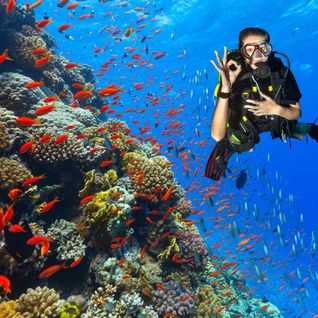 Diver giving the 'OK' hand sign