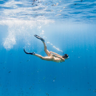 Snorkelling