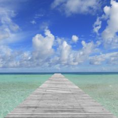The Maldives