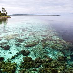 Wakatobi house reef, Indonesia