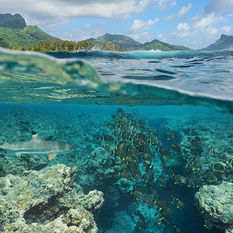 french polynesia