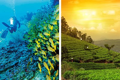 Culture holiday in Sri Lanka and scuba diving in the Maldives