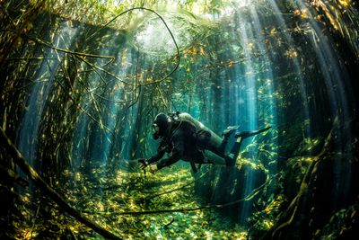 diving in casa cenote