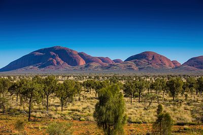 Uluru landscape