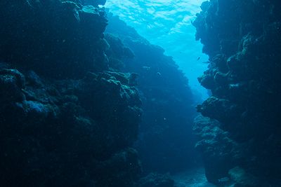 Xlendi Cave & Reef, Xlendi Bay