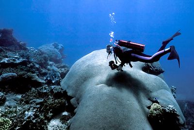 Blue Planet 2 filming underwater