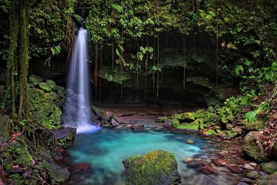 waterfall in dominica