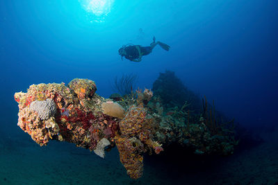 wreck diving in the British Virgin Islands