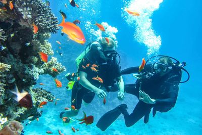 learning to dive egypt