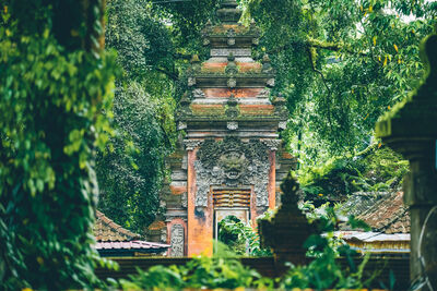 Temple in Indonesia