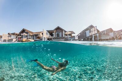 Snorkeller diving in the Maldives