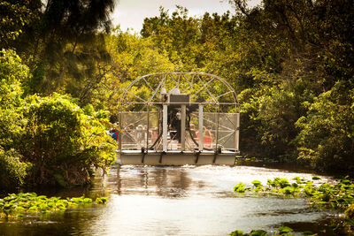 Everglades Airboat