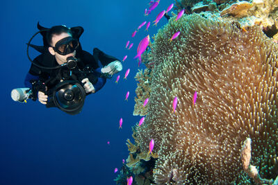 Diver with camera