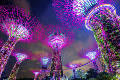 Gardens by the bay - Singapore
