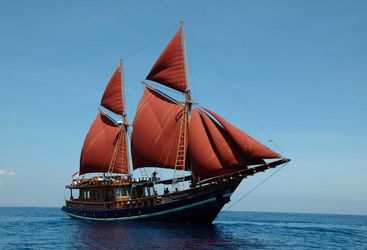 Picture of the Tiger Blue in full sail