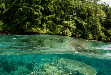 Picture of Tawali Resort Milne Bay