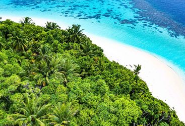 maldives beach sea aerial