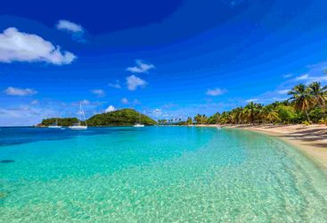 salt whislte bay Mayreau island 