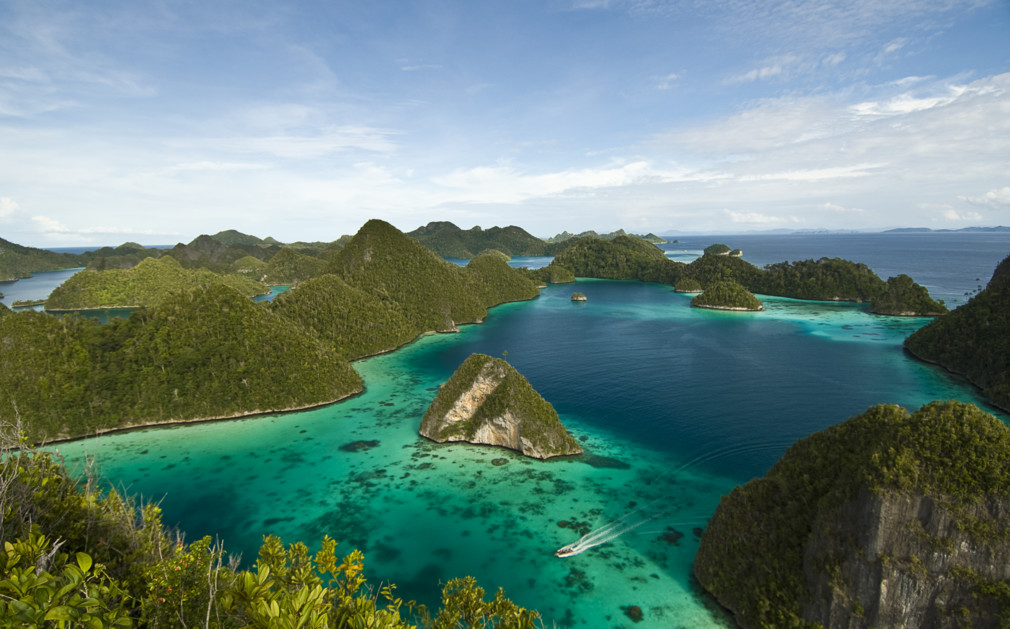 Raja Ampat Star Hotel Raja Ampat Star Hotel