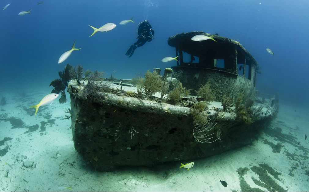 Dive Grand Bahama Original Diving