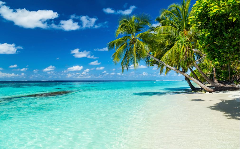 How To Go To Palm Beach How To Go To Palm Beach