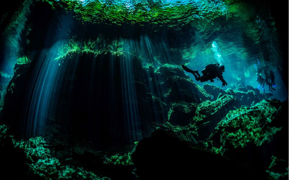 Dive The Yucatán Peninsula Original Diving