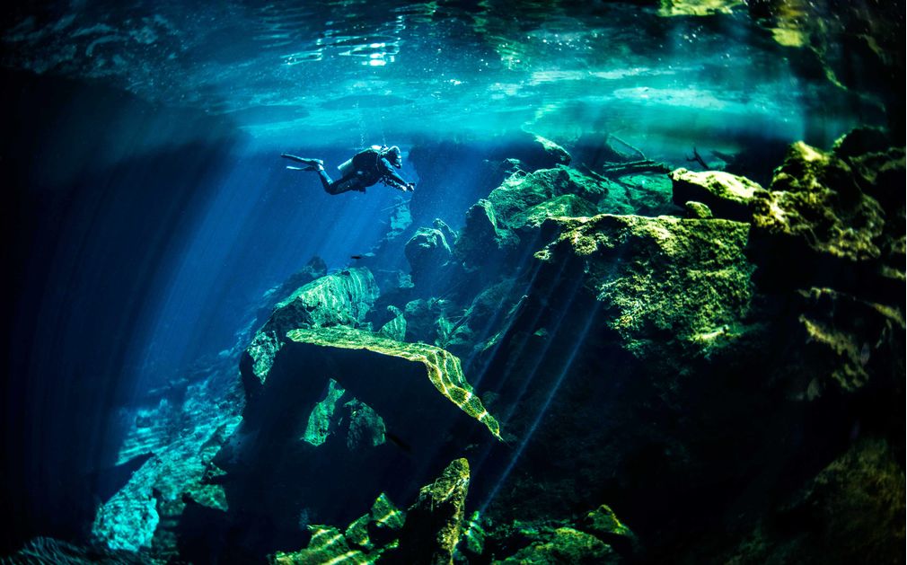 Dive The Yucatán Peninsula Original Diving