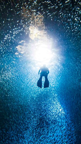 Diver in a cave ascending to surface