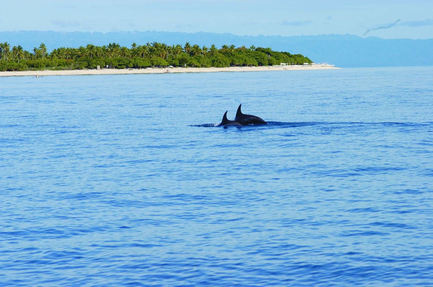 The Ananyana Beach Resort Spa Bohol The Philippines - 