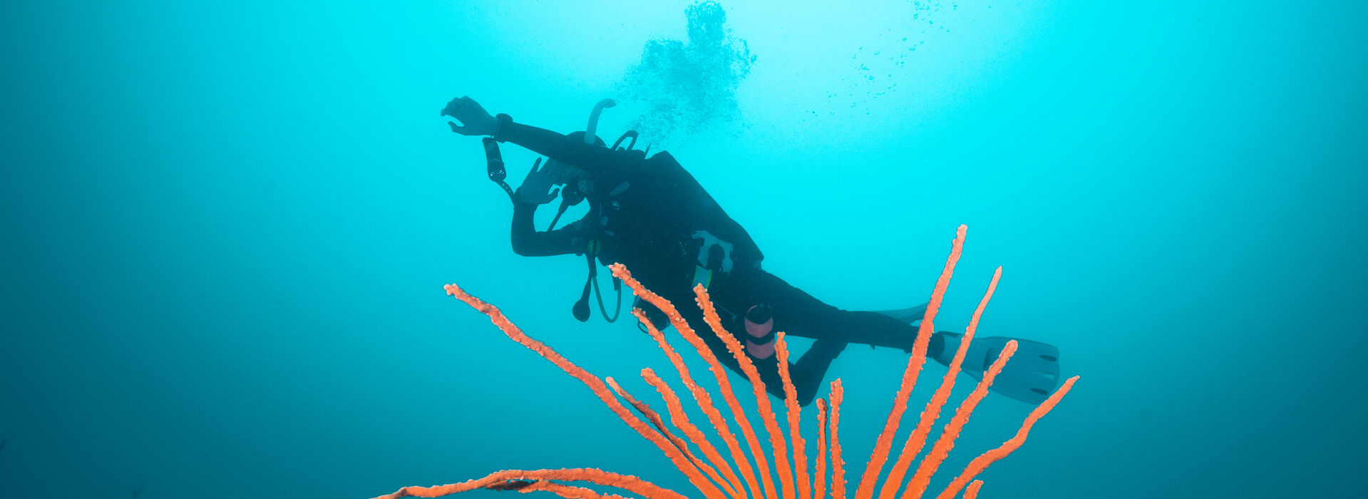 How to Navigate Underwater Original Diving