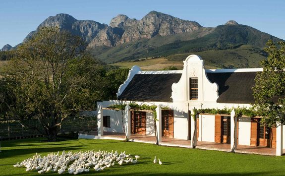 Babylonstoren vineyard South Africa