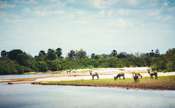 lake manze